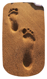 DAROYAL-127-Beach Footprints (Beach)